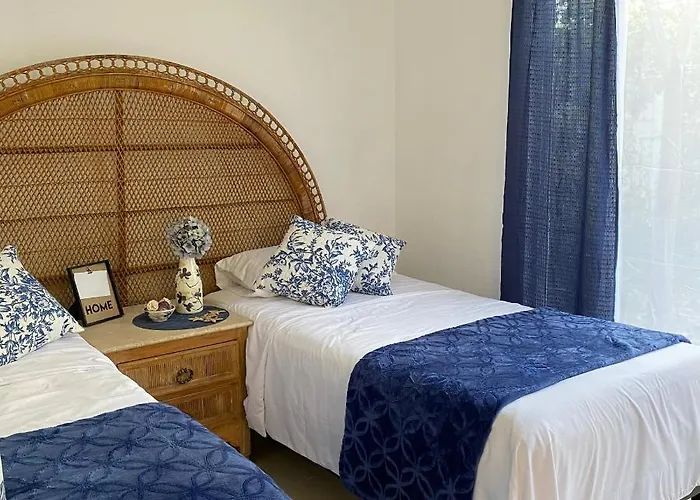 The Blue Flowers At Dici Coliving Housing